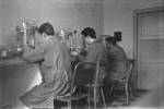 Bittmann L.,
Rácz M., Békefi J.